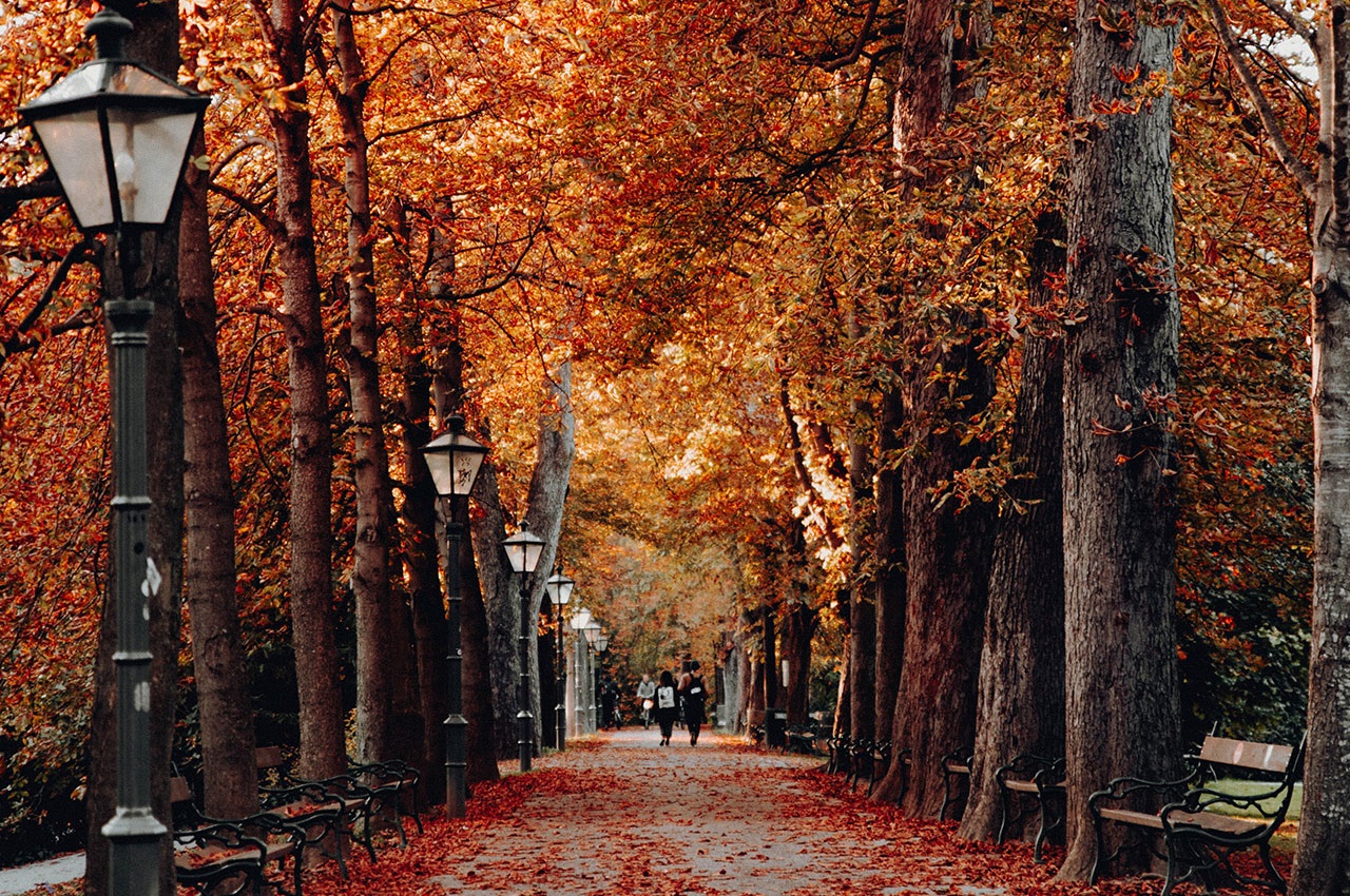 Discover the Heart of American Heritage: Morristown, United States